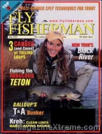 Fly Fisherman