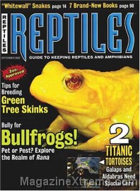 Reptiles