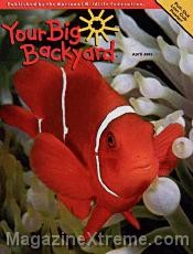 Your Big Backyard