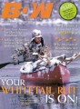 Bow Masters
