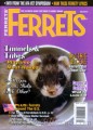 Ferrets