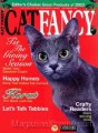 Cat Fancy