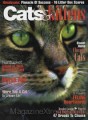 Cats & Kittens