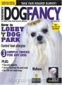 Dog Fancy