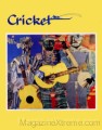 Cricket (Ages 9-14)